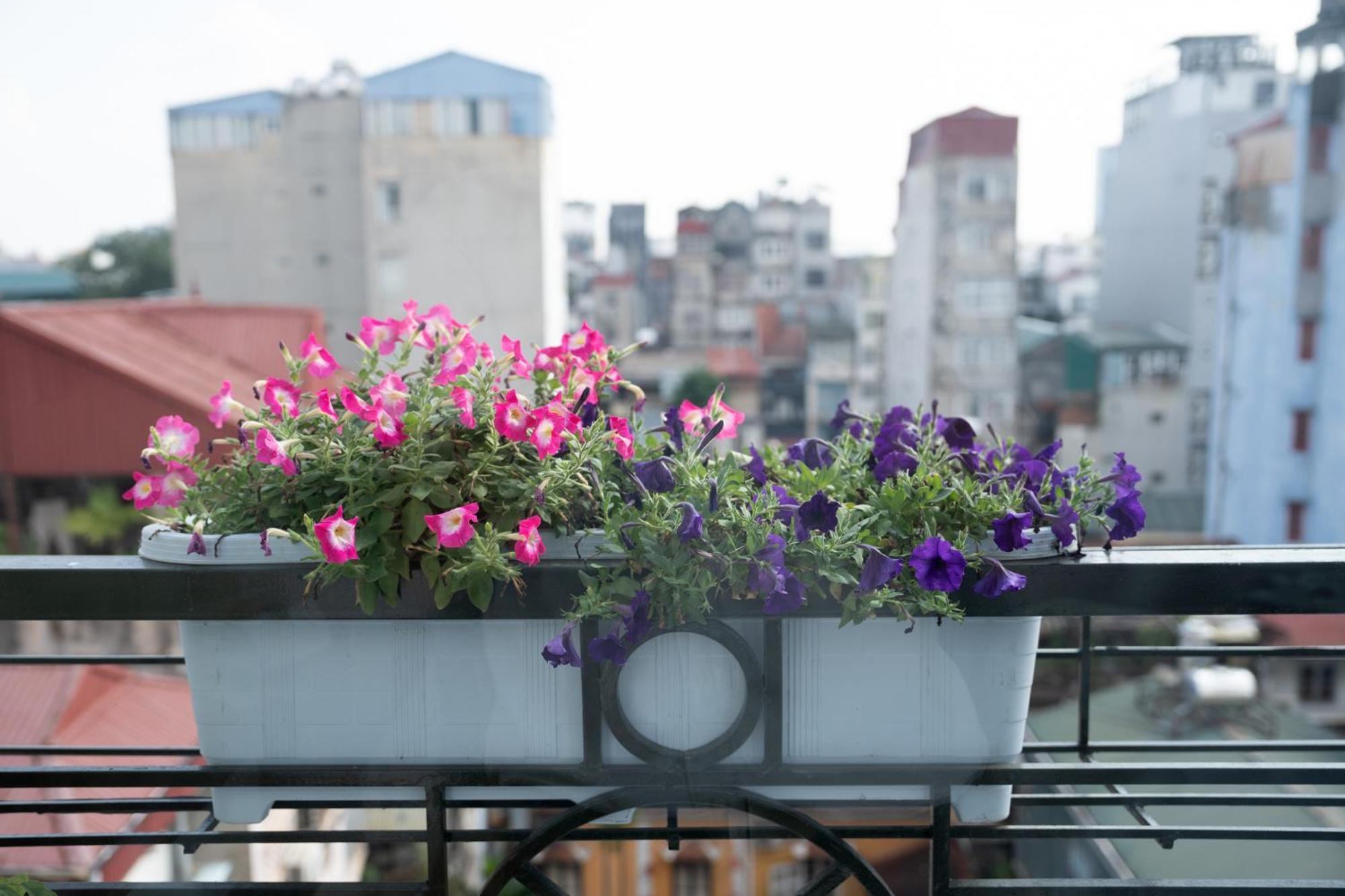 Hotel Golden Legend Boutique & Travel Hanoi